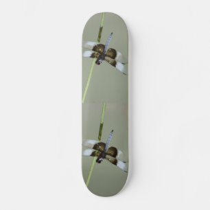 Skateboard Skyboard Dragonfly