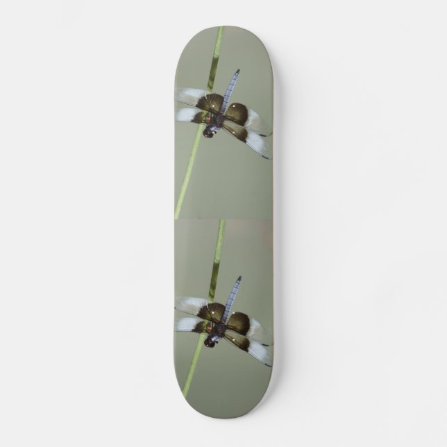 Skateboard Skyboard Dragonfly (Anverso)