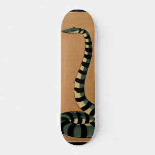 Skateboard Snake - Ilustracion de libros anticuario y colorid