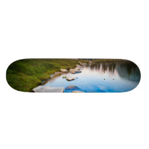Skateboard Soledad del lago