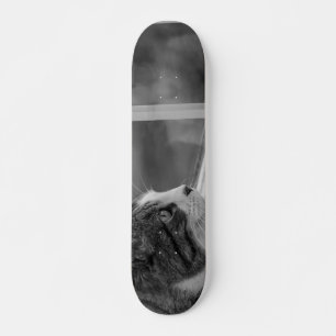 Skateboard Soñando Con La Escala De Grises Del Clima Más Cali