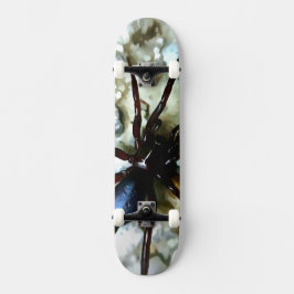 Skateboard Spider