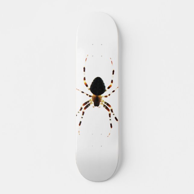 Skateboard Spider sdcna (Anverso )