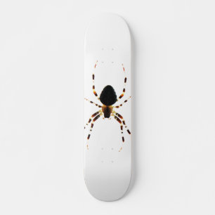 Skateboard Spider sdcnm