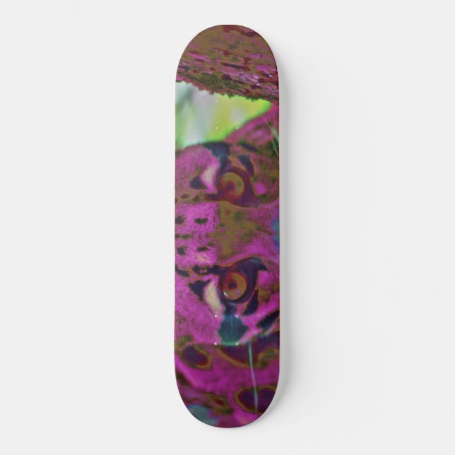 Skateboard Stalking Prey (Anverso)