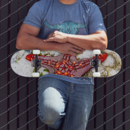 Skateboard Starfish, Zanzíbar, Tanzania