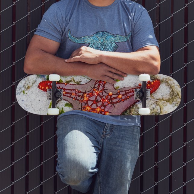 Skateboard Starfish, Zanzíbar, Tanzania (Exterior 3)