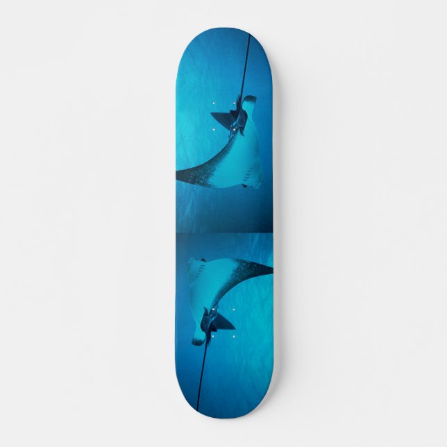 Skateboard Stingray (Anverso )
