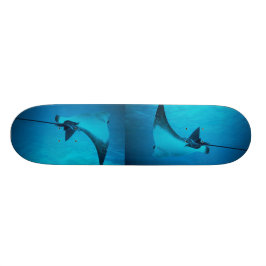 Skateboard Stingray