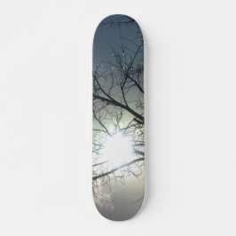 SKATEBOARD STYLE AND DESIGN