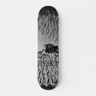 SKATEBOARD STYLE AND DESIGN