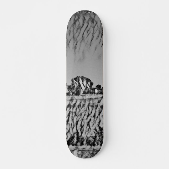 SKATEBOARD STYLE AND DESIGN (Anverso )