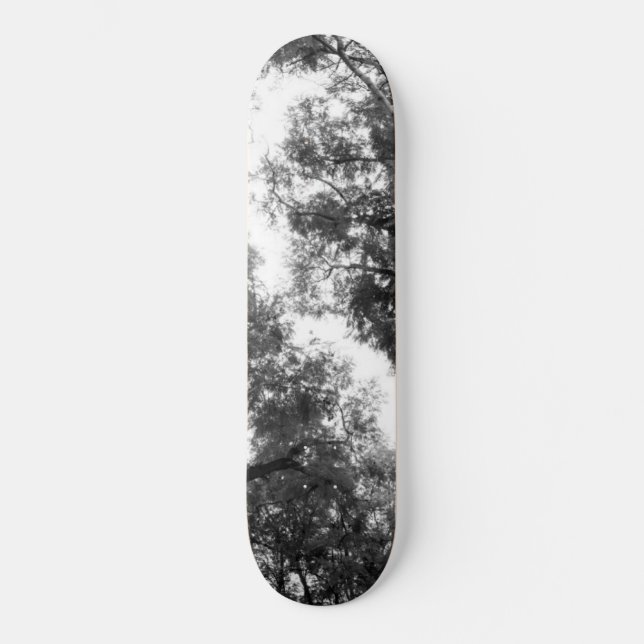 Skateboard Sueño de árboles blancos y negros #1 #wall #art (Anverso)