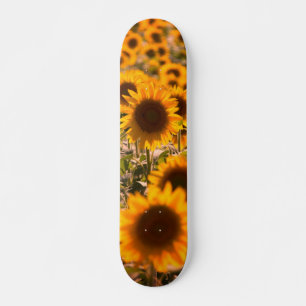Skateboard Sunflower