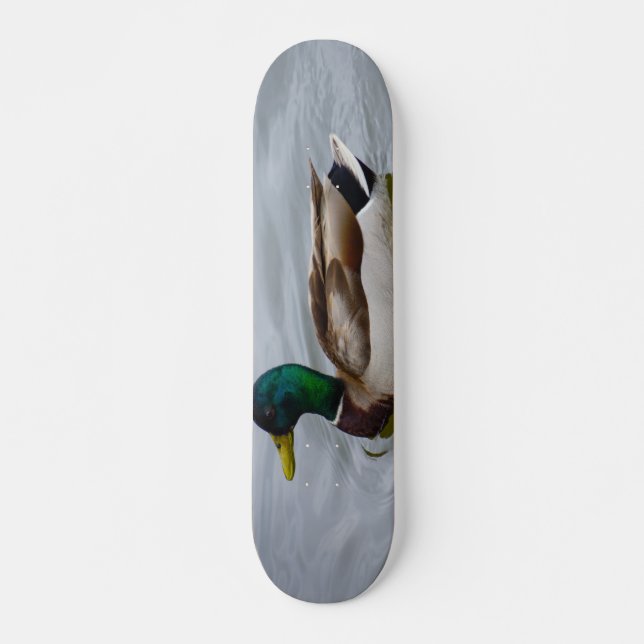Skateboard Swim Mallard Swim (Anverso )