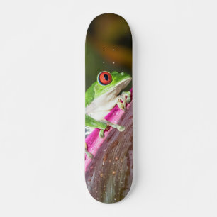 Skateboard Tabla Skate Rana Arbórea de Ojos Rojos