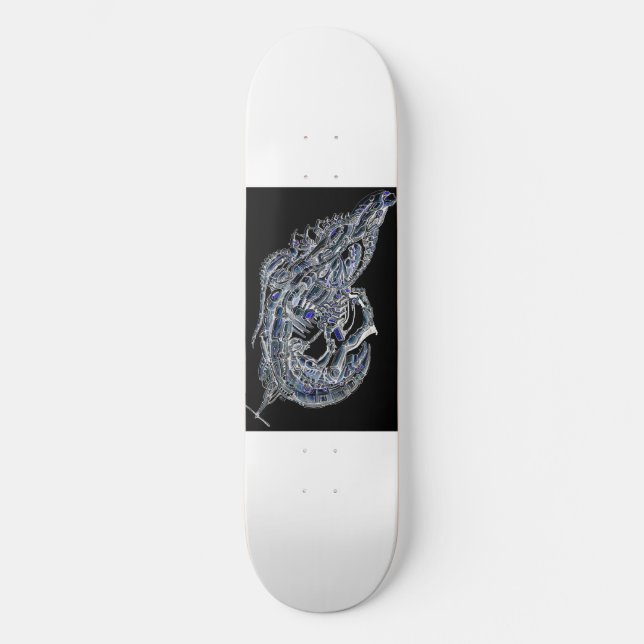 Skateboard Tablas de 8 1/2" (Anverso)