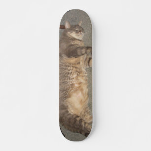 Skateboard Tablero de FatCat