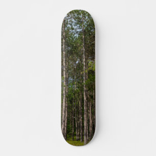 Skateboard Tall Pines