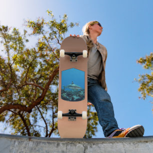 Skateboard Tiburón de Punta Negra, Isla Yap - Diseño Fotográf