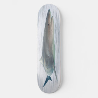 Skateboard Tiburón real en el agua