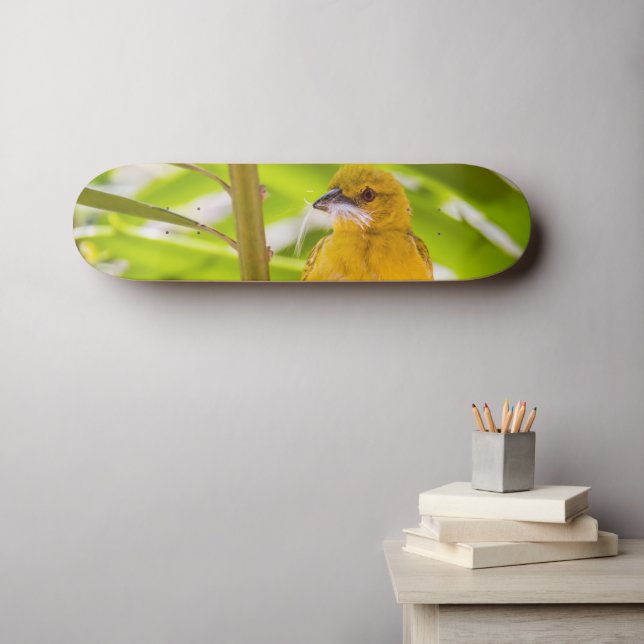 Skateboard Tiempo de construir el nido (Arte de pared (horz))