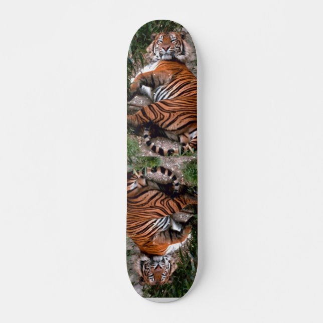 Skateboard Tiger (Anverso )