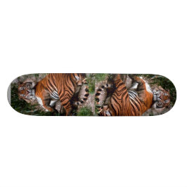 Skateboard Tiger