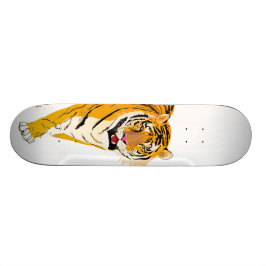 Skateboard Tigre ilustrado