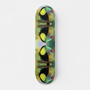 Skateboard Toco de patinaje sobre aves en Toucan Bird