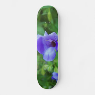 Skateboard Torenia