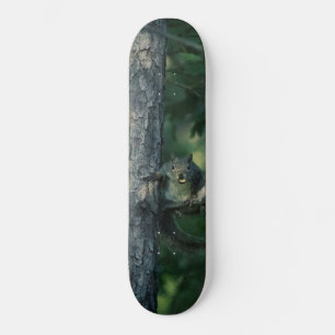 Skateboard Tortuga barata