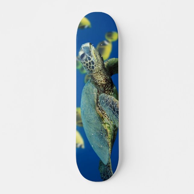 Skateboard Tortuga de mar verde (Anverso )