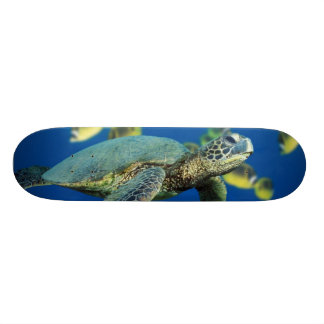 Skateboard Tortuga de mar verde