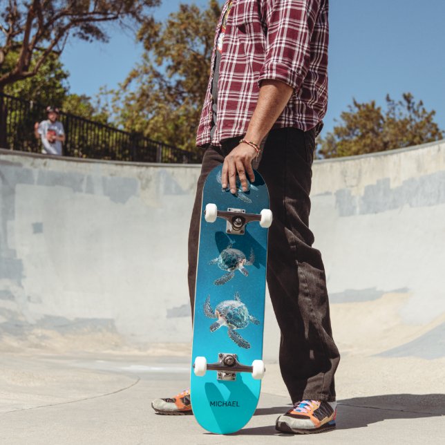 Skateboard Tortugas Costeras 3D (Exterior 2)