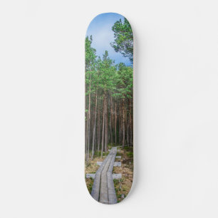 Skateboard Trayectoria de madera en bosque de pinos