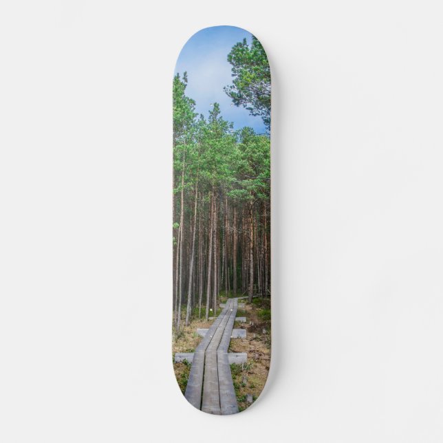 Skateboard Trayectoria de madera en bosque de pinos (Anverso)