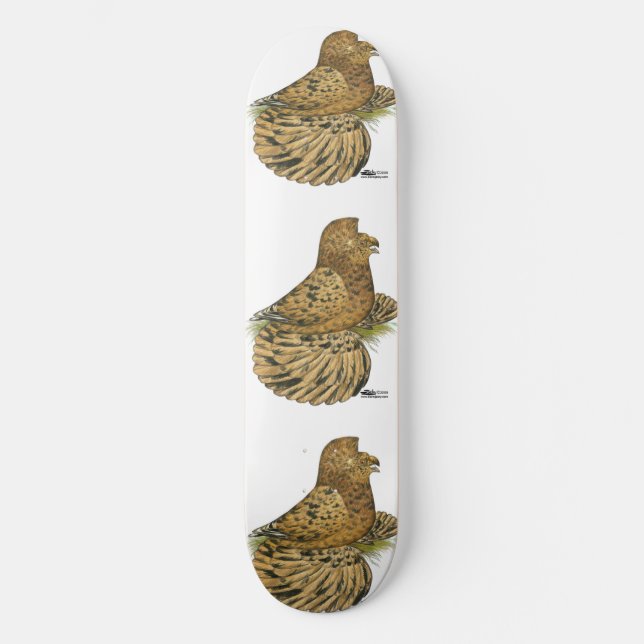 Skateboard Trumpeter Pigeon Almond (Anverso)
