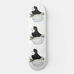 Skateboard Trumpeter Pigeon Black Baldhead