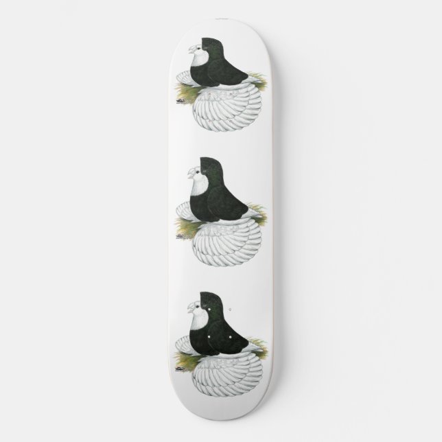 Skateboard Trumpeter Pigeon Black Baldhead (Anverso)
