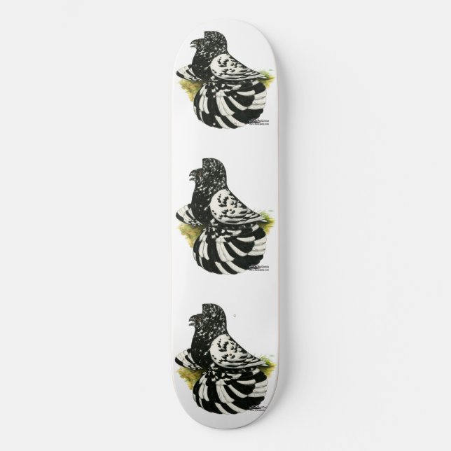 Skateboard Trumpeter Pigeon Dark Splash (Anverso)