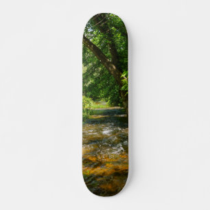 Skateboard Un arroyo campestre
