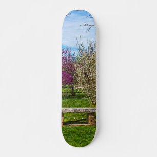 Skateboard Un asiento de temporada de primavera
