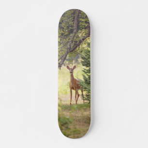 Skateboard Un ciervo solitario