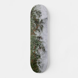 Skateboard Una pequeña nieve