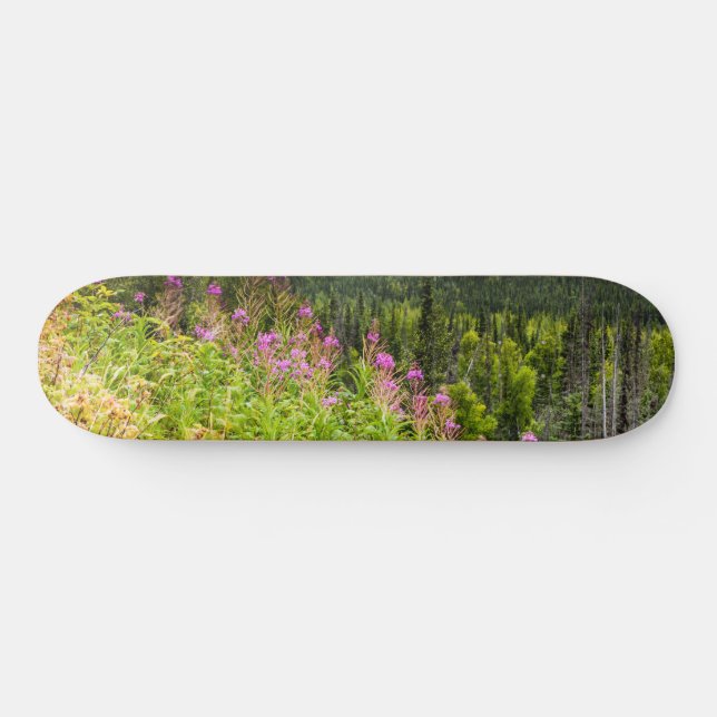 Skateboard Valle de Matanuska, Alaska del Sur (Horz)