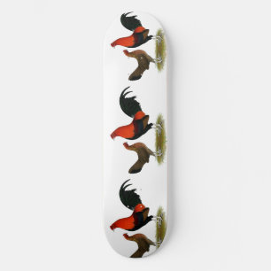 Skateboard Viejo juego inglés Bantams: BB Red Pair