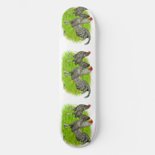 Skateboard Viejo juego inglés con pollos despojados