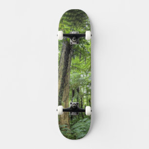 Skateboard Vista de la vegetación en los jardines botánicos d