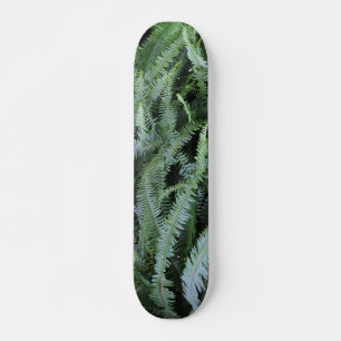 Skateboard Volando sobre helechos